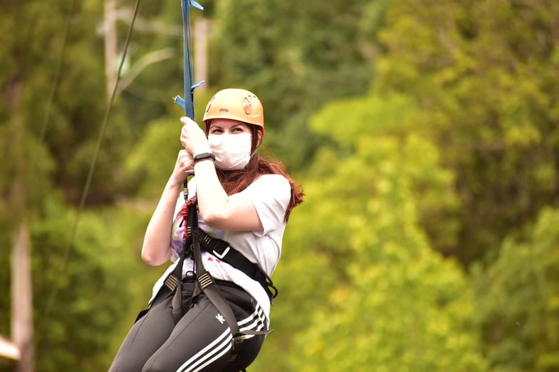 Ziplining through a forest